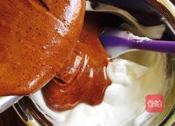 巧克力奶油芒果裸蛋糕的做法图解11