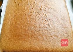 巧克力奶油芒果裸蛋糕的做法图解15