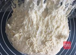 鲜肉包子的做法图解6