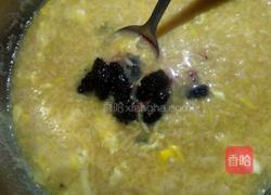桑葚酒酿的做法图解6