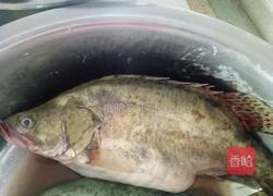 龙须桂鱼的做法图解1