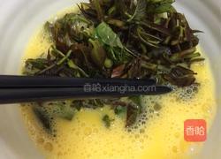 香椿摊鸡蛋的做法图解5