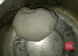 酒酿圆子的做法图解1