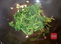 苋菜煮皮蛋的做法图解4