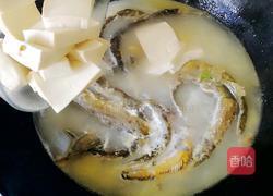 泥鳅豆腐汤的做法图解8