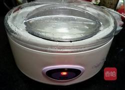 自制酸奶(十菌)的做法图解9