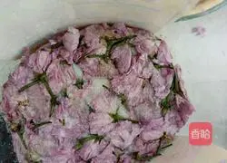 盐泽樱花的做法图解8