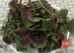 上汤咸蛋苋菜的做法图解3