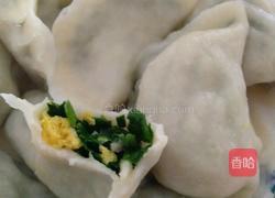 韭菜鸡蛋馅饺子的做法图解7
