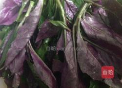 凉拌观音菜的做法图解1