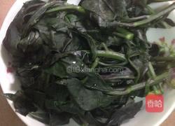 凉拌观音菜的做法图解2