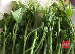 炝炒土耳瓜尖的做法图解1