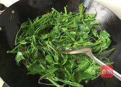 炝炒土耳瓜尖的做法图解5