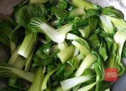 蚝油青菜的做法图解6