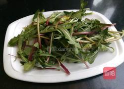 粉坨拌蒲公英的做法图解1