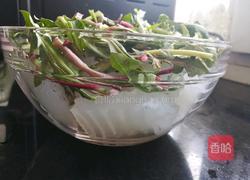 粉坨拌蒲公英的做法图解3