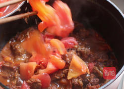 番茄牛腩的做法图解15