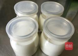 自制酸奶的做法图解6