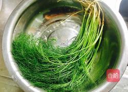 茴香炒荞丝的做法图解5