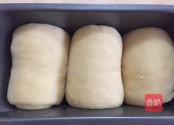 蔓越莓吐司的做法图解9