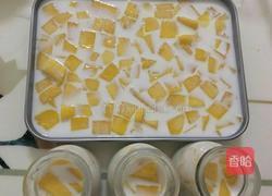 芒果椰汁凍的做法图解6