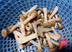 肉沫蘑菇的做法图解1