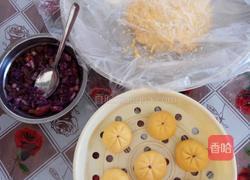 紫薯葡萄红枣南瓜包的做法图解6