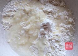 烧麦(牛肉香菜馅儿)的做法图解2