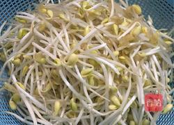 素炒豆芽菜的做法图解1