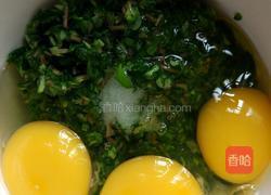 马齿苋炒鸡蛋的做法图解2
