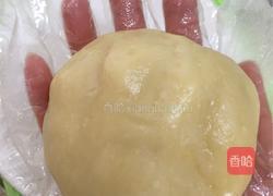 椰蓉芒果糯米糍的做法图解14