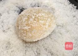 椰蓉芒果糯米糍的做法图解17