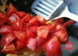 西红柿炒圆白菜的做法图解8