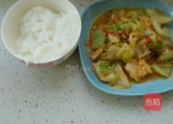 西红柿炒圆白菜的做法图解11