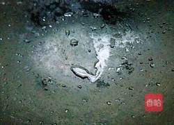 洋葱炒肉的做法图解4