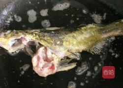 黄骨鱼汤的做法图解4