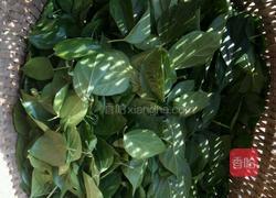 斑鸠叶豆腐的做法图解1