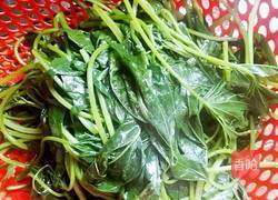 白灼红薯叶的做法图解2