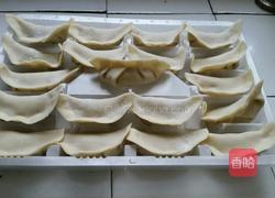 胡萝卜莲藕猪肉饺子的做法图解6