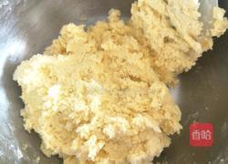 黄金椰丝球的做法图解7