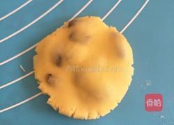 葡萄干奶酥的做法图解9