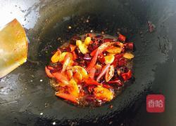 红炖鸡块的做法图解12