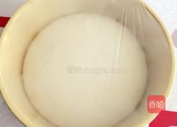 炸果子的做法图解3