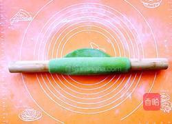 手擀菠菜面的做法图解8