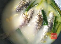 草鱼汤的做法图解8