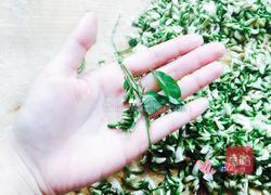 蒸槐花的做法图解4