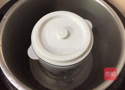 木瓜炖奶的做法图解3