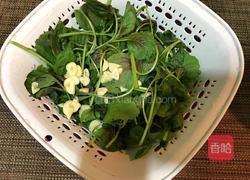 清炒苋菜的做法图解1