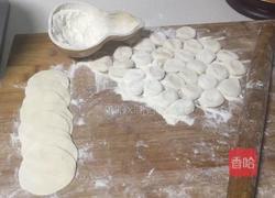 猪肉虾米白菜饺子的做法图解8