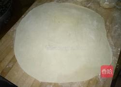 扬子饼的做法图解12